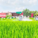 금대농장 이미지