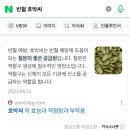 사라모두