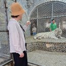 대바위농장 이미지