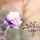 꿈꾸는 다락방 이미지