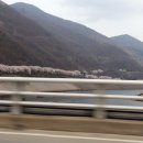 충주댐주유소 이미지