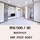 안중역초운공인중개사사무소 | 평택 안중역 원룸 월세 즉시입주