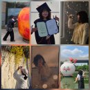 다인안과 | [일상] 장편소설 아니고 2026 상반기 근황 (1월~6월)