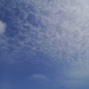 세종보 입구 이미지