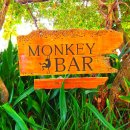 몽키 휘트니스 | 보홀여행 비그랜드리조트맛집 더몽키바 The Monkey Bar by Chef Jenzel Fontilla