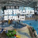 11650-16-174-2 | 강원 평창 휘닉스파크 워터파크 블루캐니언 준비물·할인·꿀팁·이용후기
