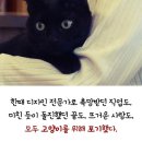커피타는 고양이 이미지