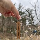 신안 금송재 한옥 호텔 이미지