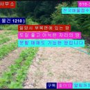 작은 계곡 이미지