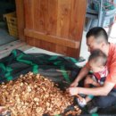 명산차민박 이미지