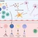 Re: 파킨슨 T cell 자가면역 염증 ... 2022 논문.. 이미지