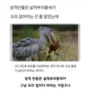 개미카공업사 | 나으 일상은 빙글빙글돌고😵‍💫