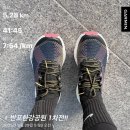 운탄고도 스카이 레이스 첫 트레일 러닝대회에 라스포르티바 프로디지오 프로 트레일 러닝화 착용 후기