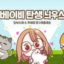 달보드레/루체레 이미지