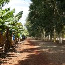 호주농장 이미지