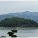 강진약국 이미지