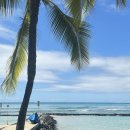 세븐정장사거리점 | [신혼여행] 하와이 5박7일 3일차 일정 핑크트롤리버스 이용법 / 알라모아나센터 / 미니웨딩스냅 후기 !!