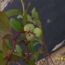 도천농장 이미지