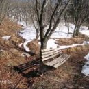 토지초교 이미지