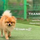 라엘동물의료센터 이미지