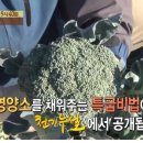 김문자농장 티스토리
