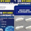 와우브레인 이미지