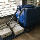 전용농장 이미지