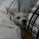 여서동4길 이미지