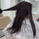 건니크 이미지