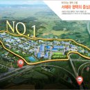 보란파마 이미지