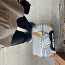 올곧제주 이미지