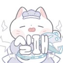 정육감
