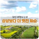 천용목장 네이버블로그