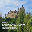 세고비아 | 스페인 마드리드 근교 여행 톨레도 세고비아 투어 후기