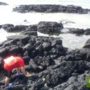 김녕관광지 이미지