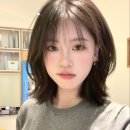 미학들 이미지
