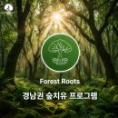 기공태극권 | 숲치유 프로그램, 실내·야외 활동이 가능한 경남권 힐링연수원