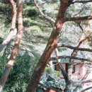 이충무공약수터 이미지