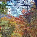 개인약수 탐방로 입구 이미지