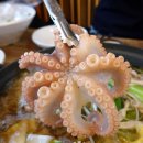 동학산근린공원 | 동탄 맛집 쭈꾸미샤브샤브 봄정취 돋네