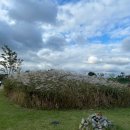 장림유수지 데크 휴식공간 | [대구 대명유수지] - 대구에서 걷기 좋은 가을 산책길 추천.