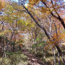 존자암지 이미지