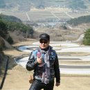 지리산매화네