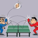 핑퐁 이미지