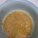 K-Diet | 강아지 신장 사료와 음식 관리｜달이 신부전 식단 후기 (건식 거부, 습식 급여 방법)