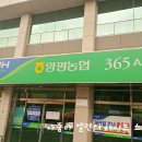 양평물맑은시장 쉼터 공중화장실 네이버블로그