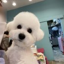 몽몽살롱 이미지