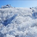 28산우회 2025년 첫 산행 (무주 덕유산 눈꽃산행) 이미지