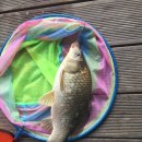 개나리낚시공원 이미지