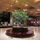 JW메리어트제주 리조트앤스파(JW Marriott Jeju Resort & spa) 이미지